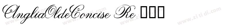 AngliaOldeConcise Re字体转换